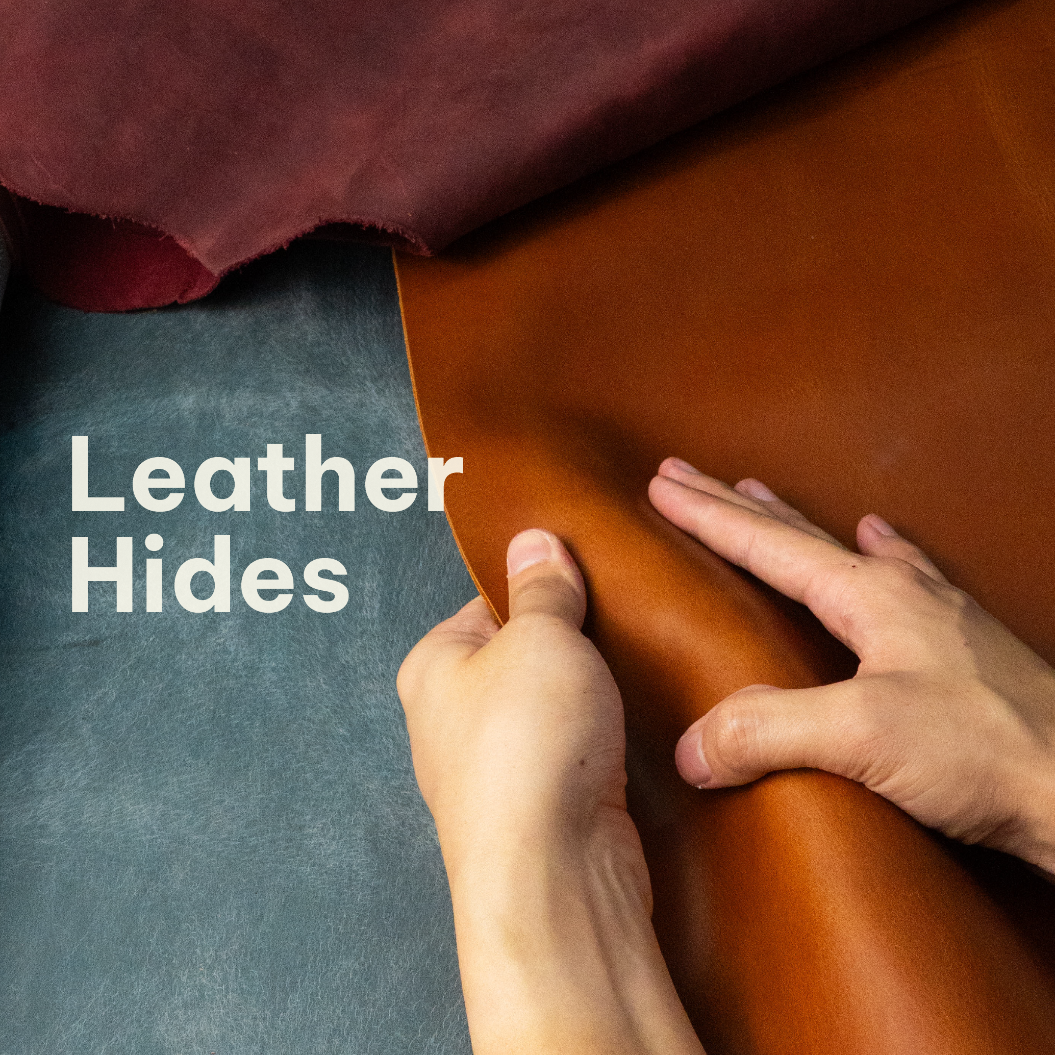 Leather Hides